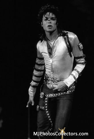 med_gallery_948_2162_275246.jpg