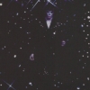 Dazzling