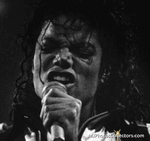 BadTourBW31