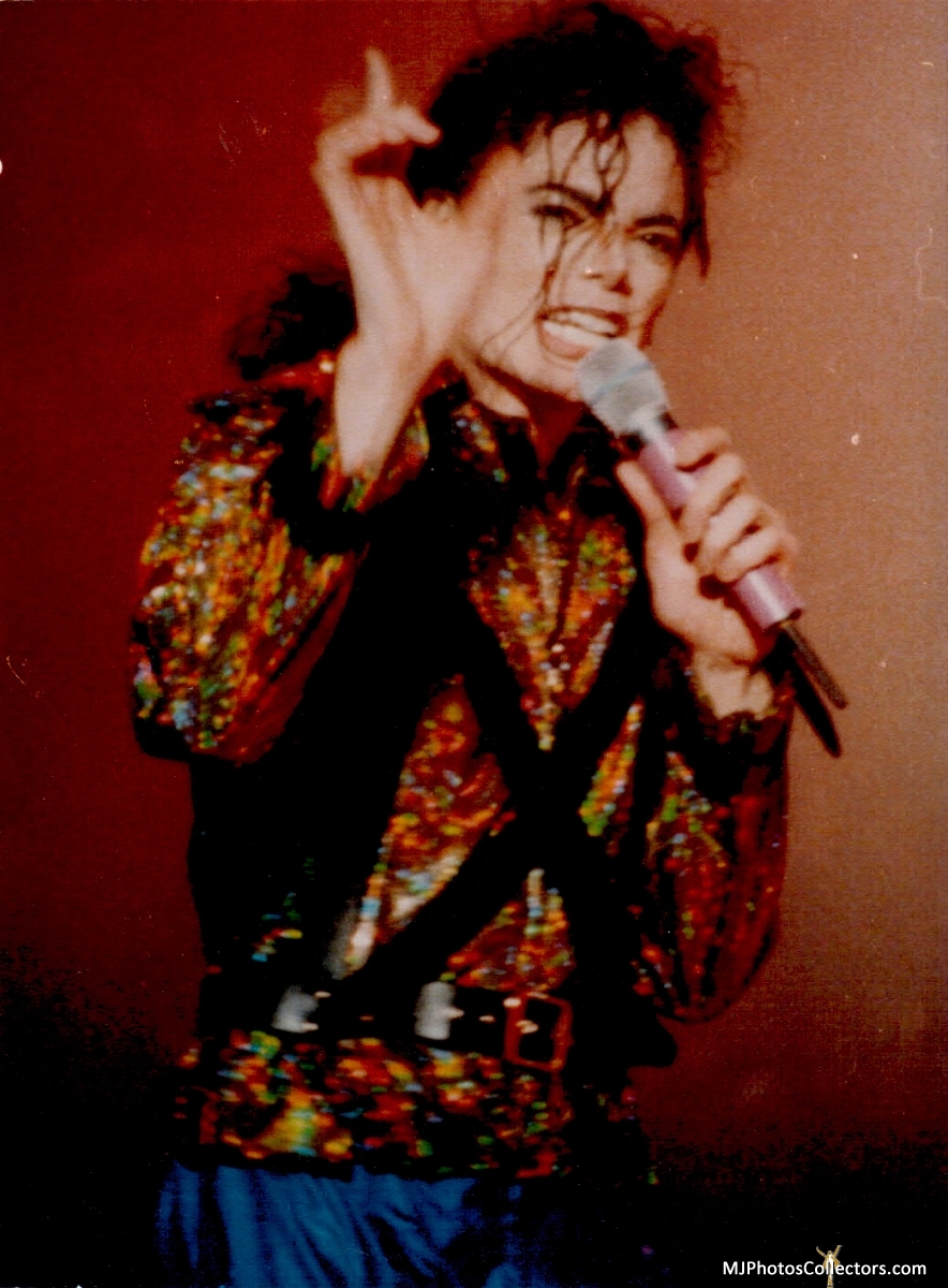 gallery_2485_331051.jpg