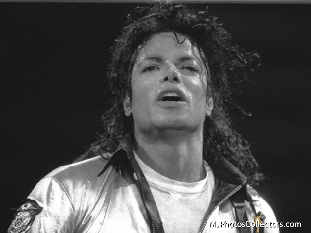 196511_463805993642520_794703866_n.jpg